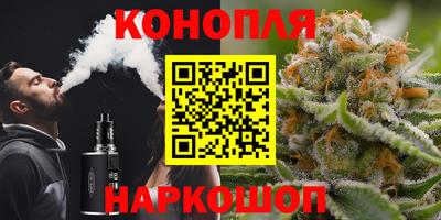 бошки Будённовск