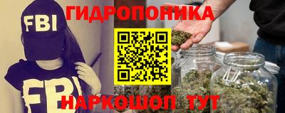 гидра Бузулук