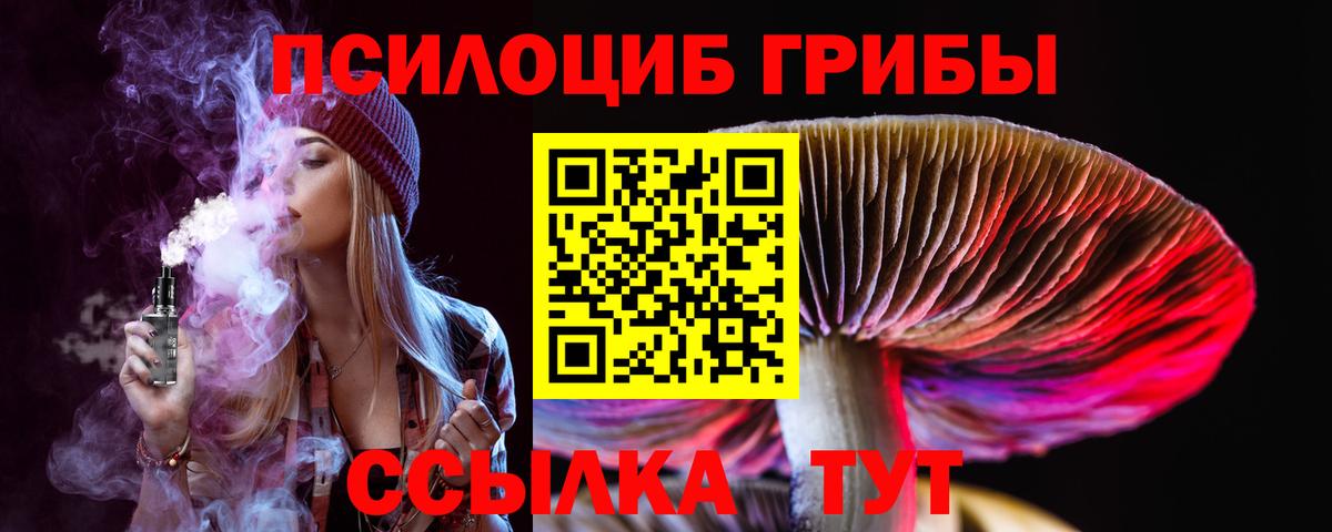 Кумертау  Псилоцибиновые грибы GOLDEN TEACHER  Вход с VPN 